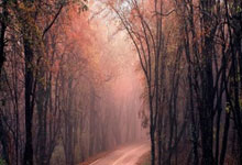 开云体育中国-中超｜掘金之战引爆流量火山！豪门陨落背后的资本暗涌与城市野心