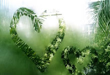 开云体育下载-鹿岛鹿角连续不败，争冠形势一片大好