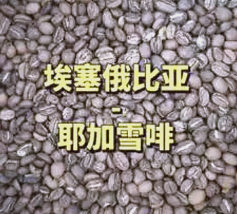 阿塞尔比亚战卢森堡：危机四伏的简单介绍