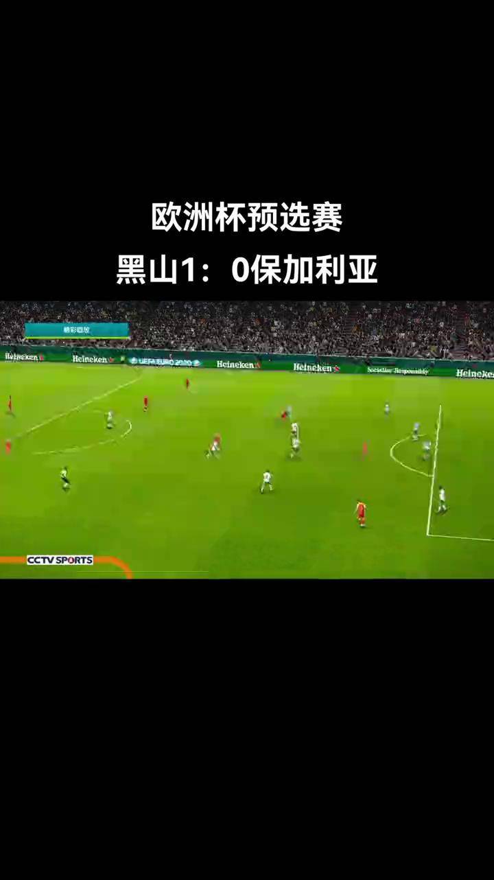 威尔士独揽三分，欧洲杯预选赛士气高昂的简单介绍