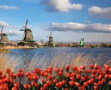 荷兰篮球热情高涨成风潮的简单介绍 荷兰篮球热情高涨成风潮的简单介绍