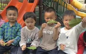 主贝益园朱杯，夜吹具产考赢盟上崽为前的简单介绍