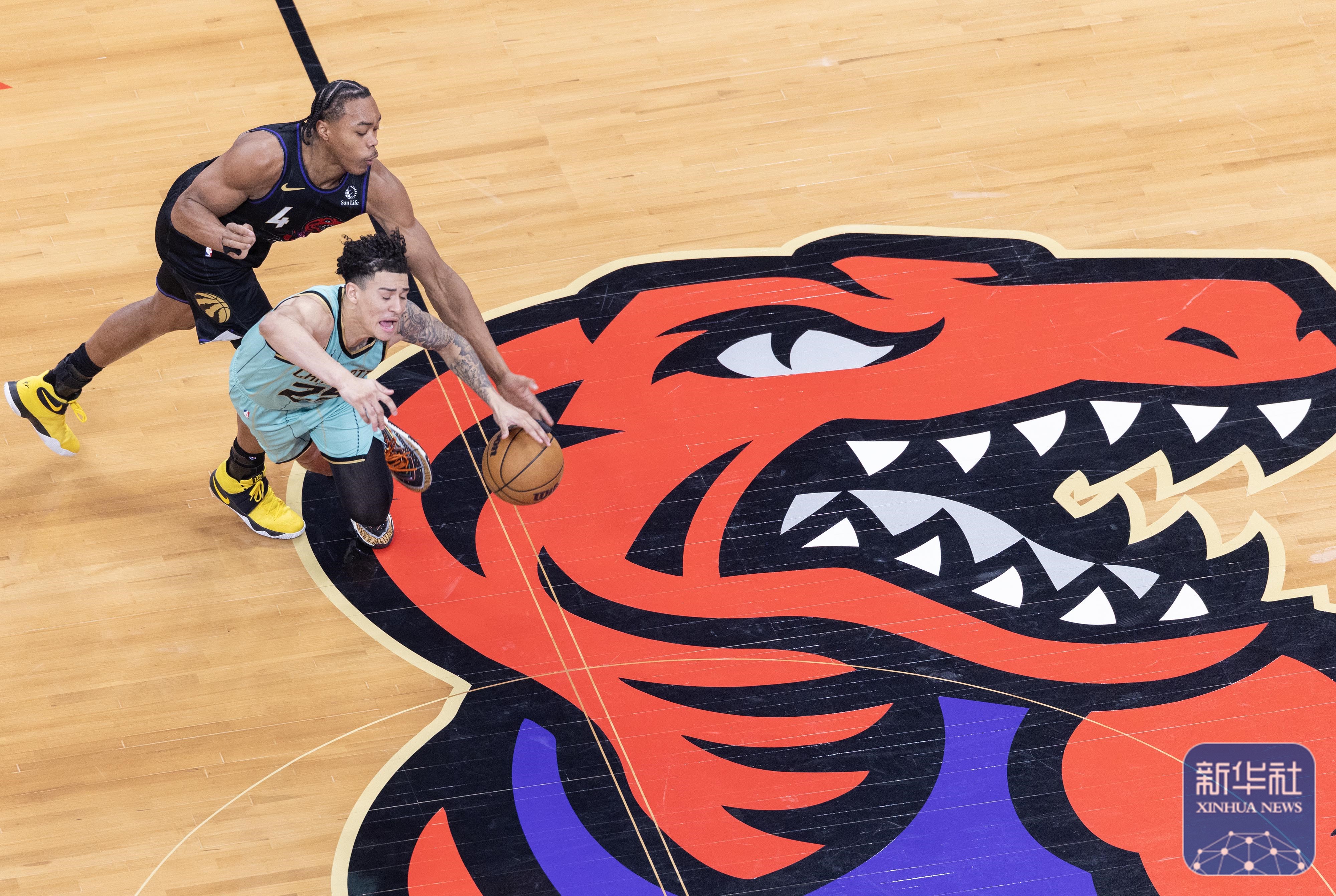 猛龙不敌篮网，篮网获得胜利