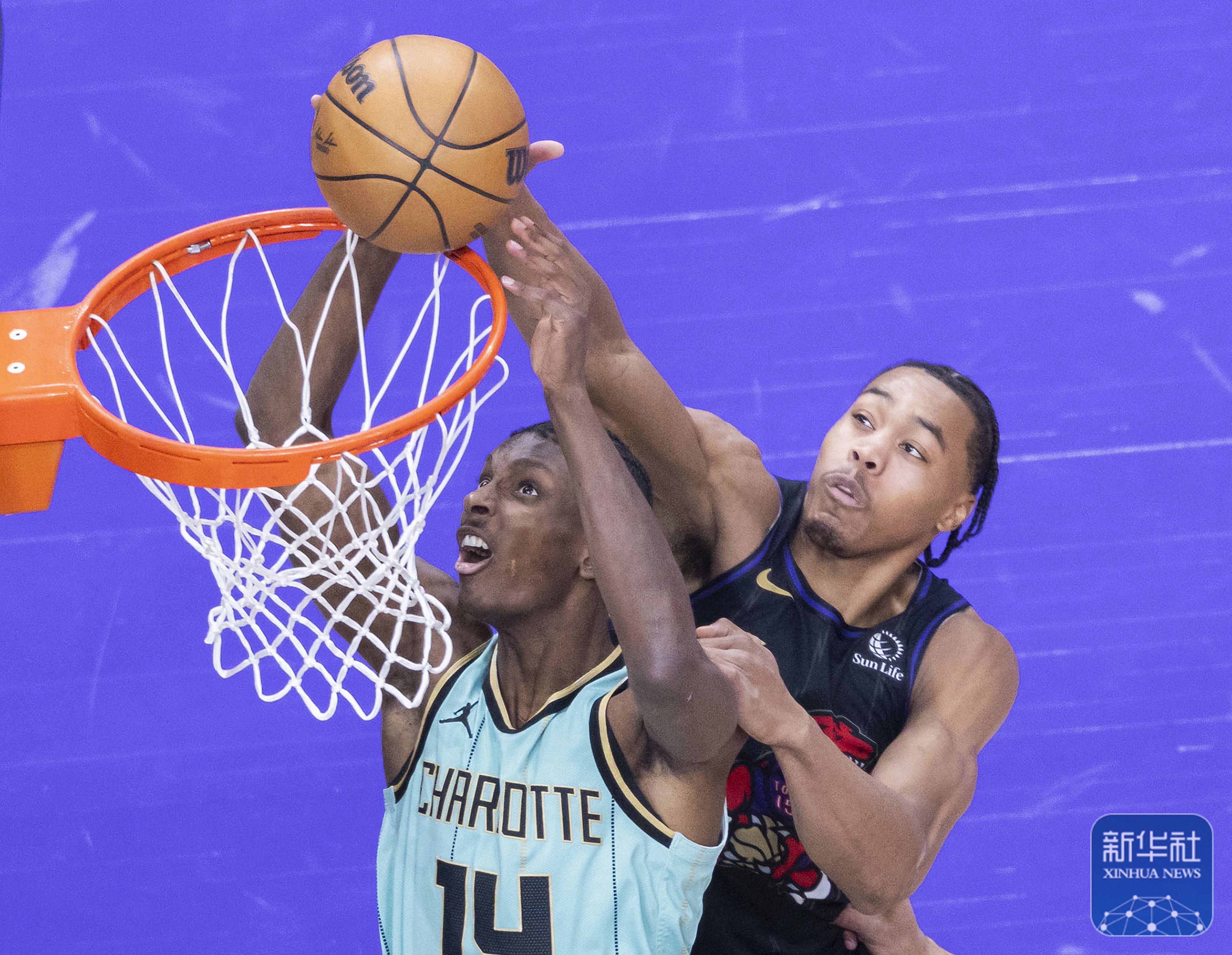 猛龙不敌篮网，篮网获得胜利