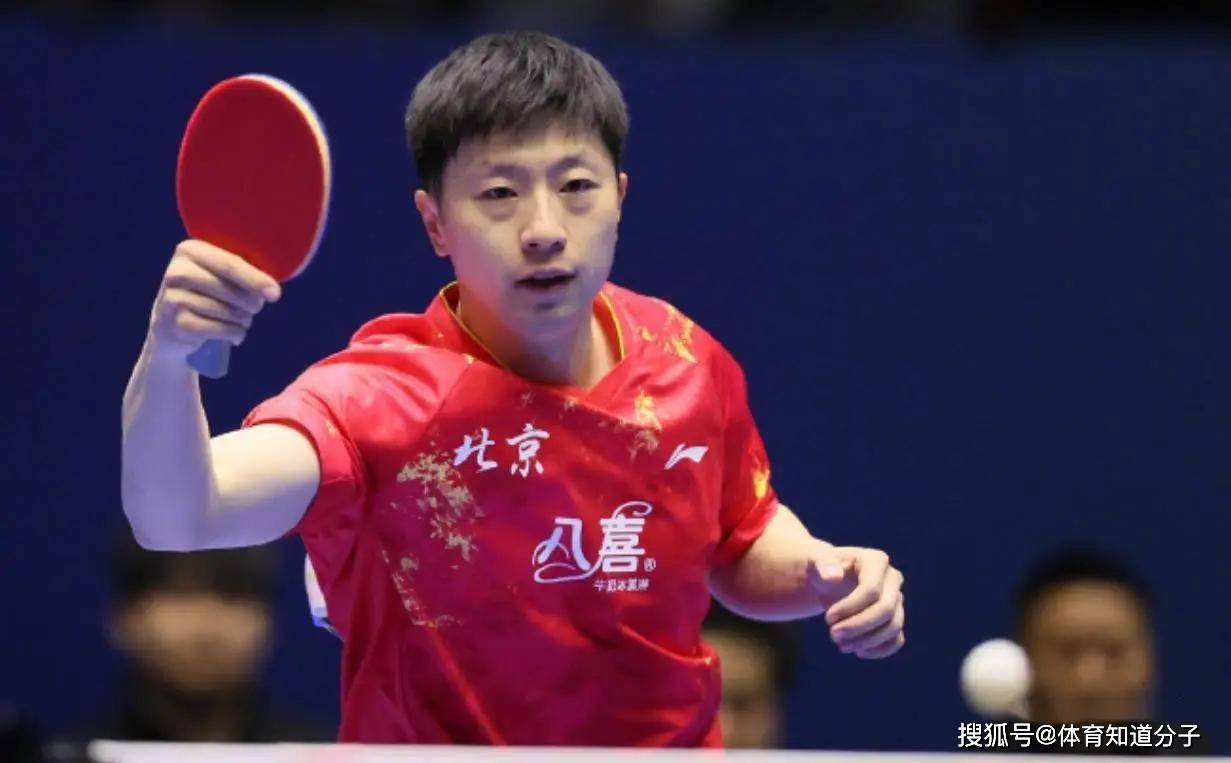 关于法国乒乓球队绝杀瑞典乒乓球队，马龙绝境逆转的信息